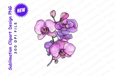 Elegant Purple Orchid Flower Illustration Detailed Botanical Design Vibrant Floral Artwork Delicate Petals And Buds Isolated On Gray Background Sublimation Regulrcrative 