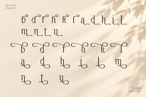 Elesthin Bloom - Elegance Display Serif Font Font Mozzatype 