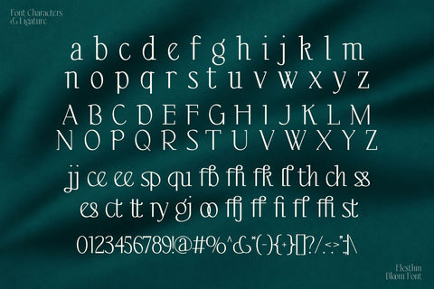 Elesthin Bloom - Elegance Display Serif Font Font Mozzatype 