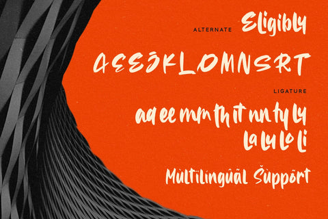 Eligibly - Display Font Font Alpaprana Studio 