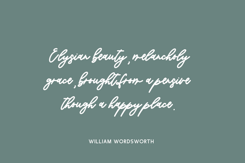Elysianne Script Font Beck McCormick 