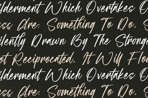 Emillia Sartory - Moder Script Font Font Letterena Studios 