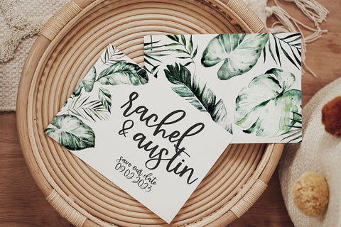 Emptynest Script Font Beck McCormick 
