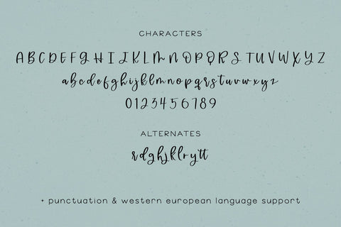 Emptynest Script Font Beck McCormick 