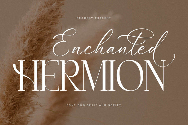 Enchanted Hermion Font Duo Font Storytype Studio 