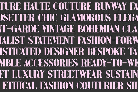 Eraser Bold Display Classic Serif Font Font Blush Font Co. 