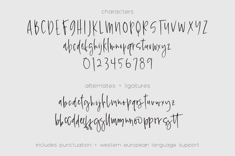 Essence Script Font Beck McCormick 