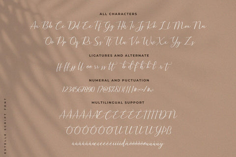 Estelle Lovely Script Font Heinzel Studio 