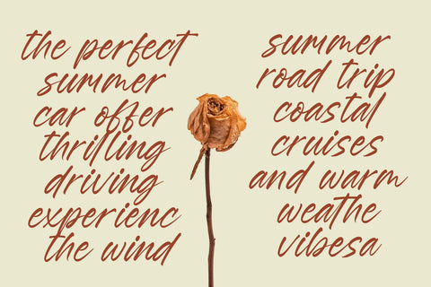 Esylon Sparted - Bold Brush Type Font Font Letterena Studios 