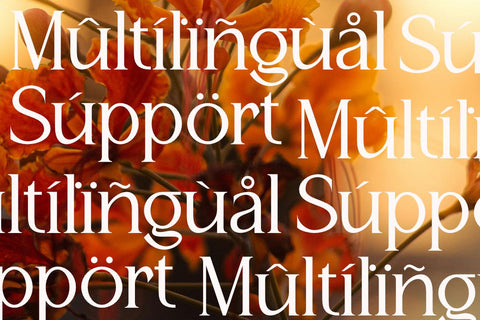 Eternal Bloom - Modern Serif Font Font Masyafi Studio 