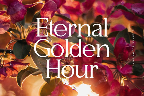 Eternal Bloom - Modern Serif Font Font Masyafi Studio 