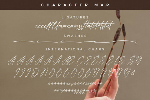 Everlast Roman Font Duo Font Storytype Studio 