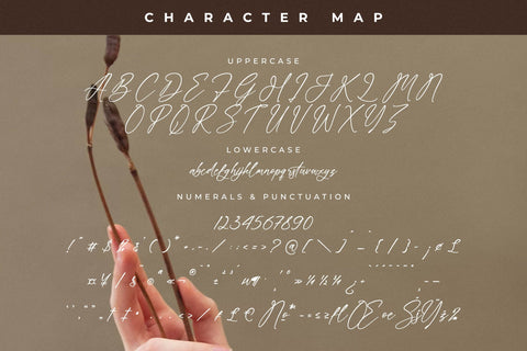 Everlast Roman Font Duo Font Storytype Studio 