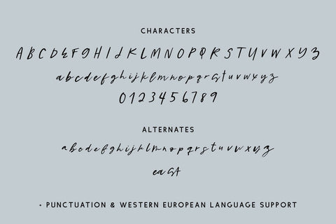Everlasting Script Font Beck McCormick 