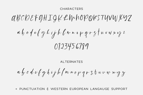 Everybody Script Font Beck McCormick 