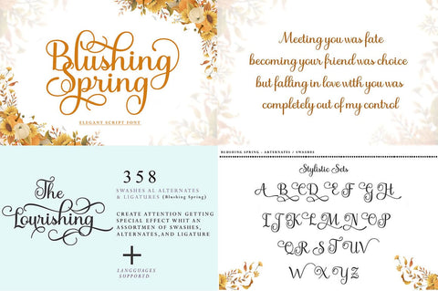 Exlusive Best Font Bundle Font Studio Rhd Store 