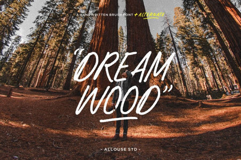 Explorebrush Font Allouse.Studio 