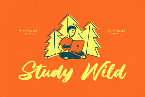 Factun Blacki - Bold Calligraphy Font Font Letterena Studios 