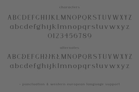 Fade to Darkness Serif Font Beck McCormick 