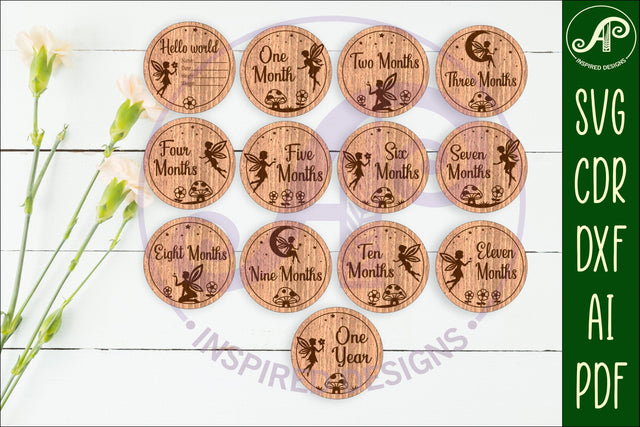 Fairy themed Baby monthly milestone discs SVG SVG APInspireddesigns 