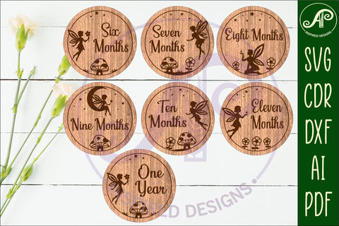 Fairy themed Baby monthly milestone discs SVG SVG APInspireddesigns 