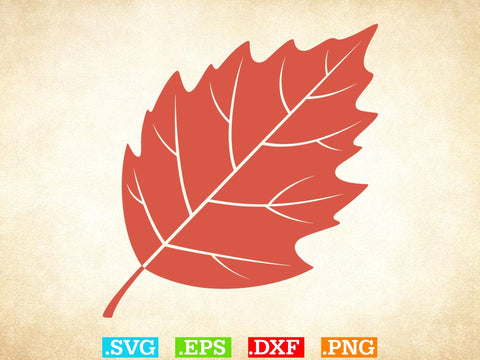 Fall Leaves SVG Bundle, Leaf svg leaves fall Outline SVG, Halloween Png SVG Creativeart88 