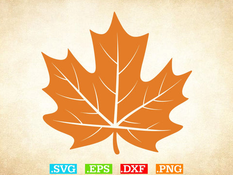 Fall Leaves SVG Bundle, Leaf svg leaves fall Outline SVG, Halloween Png SVG Creativeart88 