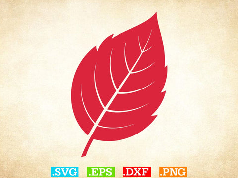 Fall Leaves SVG Bundle, Leaf svg leaves fall Outline SVG, Halloween Png SVG Creativeart88 