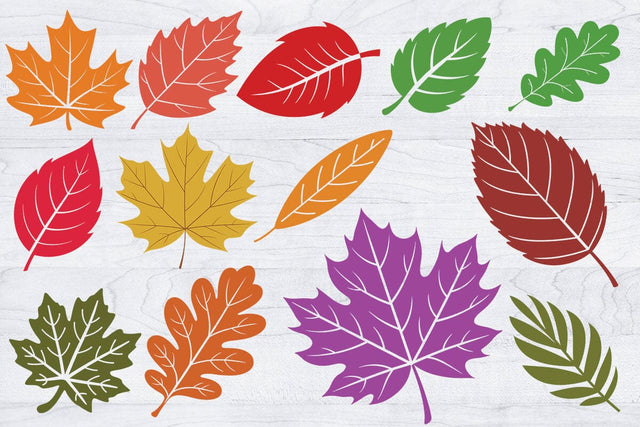 Fall Leaves SVG Bundle, Leaf svg leaves fall Outline SVG, Halloween Png SVG Creativeart88 