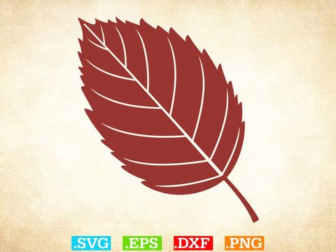 Fall Leaves SVG Bundle, Leaf svg leaves fall Outline SVG, Halloween Png SVG Creativeart88 