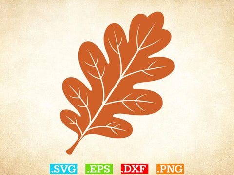 Fall Leaves SVG Bundle, Leaf svg leaves fall Outline SVG, Halloween Png SVG Creativeart88 