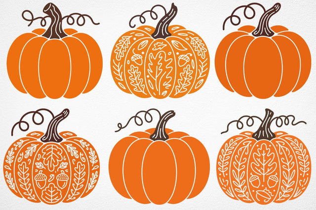 Fall Pumpkin SVG Bundle Autumn File SVG DesignDestine 