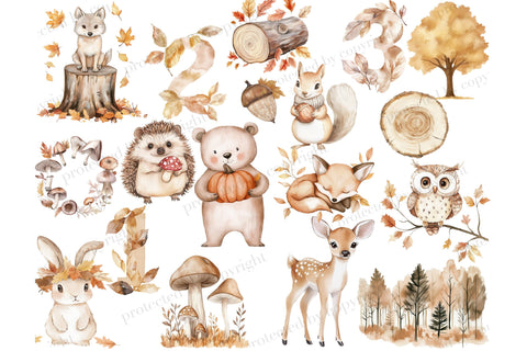 Fall Woodland Clipart | Baby Shower PNG Collection SVG GlamArtZhanna 