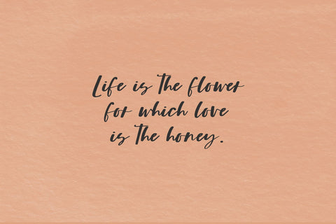 Fallbrook Avenue Script Font Beck McCormick 