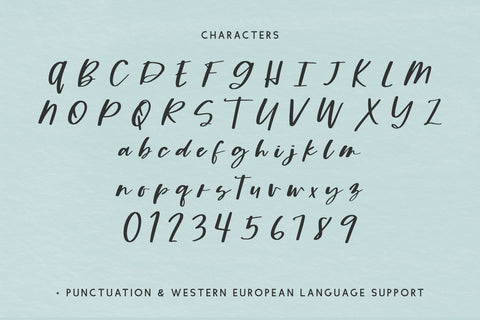 Fallbrook Avenue Script Font Beck McCormick 