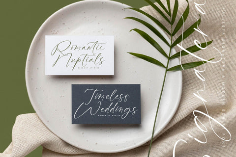 Fallesta Signatera - Modern Script Font Font Letterena Studios 