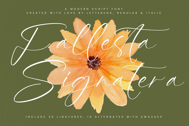 Fallesta Signatera - Modern Script Font Font Letterena Studios 