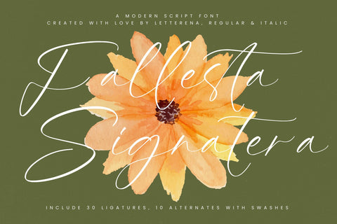 Fallesta Signatera - Modern Script Font Font Letterena Studios 