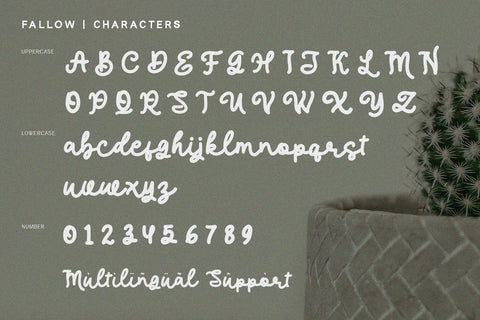 Fallow - Script Serif Font Alpaprana Studio 