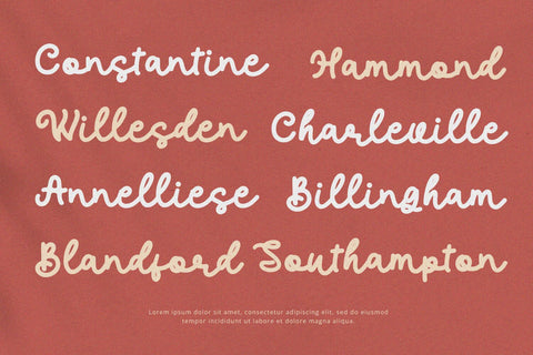 Fallow - Script Serif Font Alpaprana Studio 