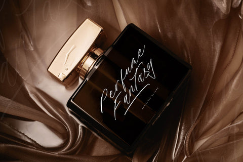 Fanttasic Melody - Modern Signature Script Font Letterena Studios 