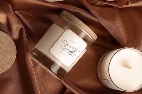 Fanttasic Melody - Modern Signature Script Font Letterena Studios 