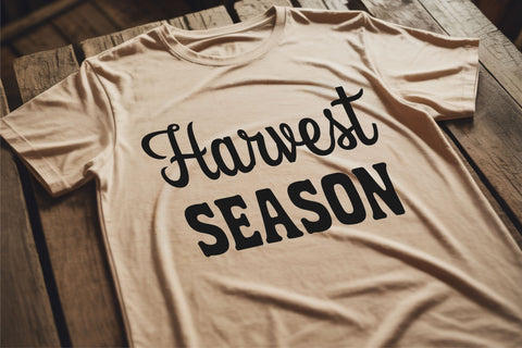 Farmhouse Font Bundle – Rustic Serif Script Vintage Country Duo Font TonisArtStudio 