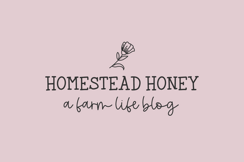 Farmhouse Life Duo Font Beck McCormick 