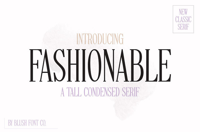 Fashionable Modern Condensed Serif Font Blush Font Co. 