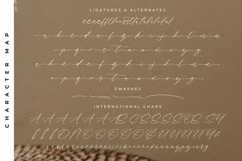 Fasttelo Engelliy - Modern Elegant Script Font Letterena Studios 