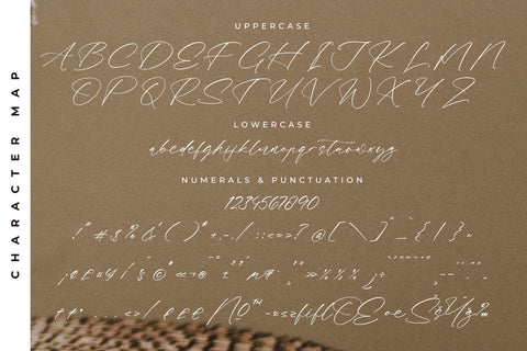 Fasttelo Engelliy - Modern Elegant Script Font Letterena Studios 