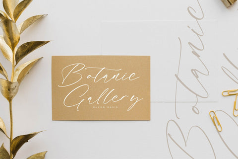 Fasttelo Engelliy - Modern Elegant Script Font Letterena Studios 