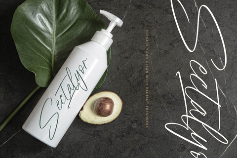 Feather Antique - Modern Script Font Font Letterena Studios 