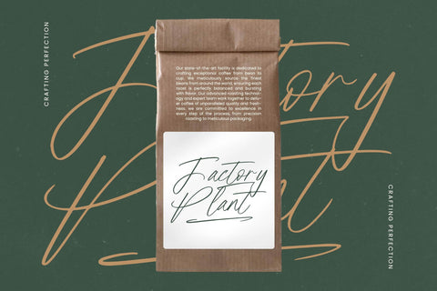 Feather Antique - Modern Script Font Font Letterena Studios 
